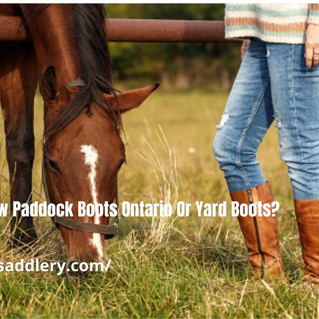 Do You Need New Paddock Boots Ontario Or Yard Boots?