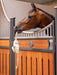 Lemieux Horse Toy - BANANA - Vision Saddlery