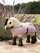 LeMieux Toy Pony Rug - VARIOUS COLOURS - Vision Saddlery