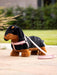 LeMieux Toy Puppy - SALLY - Vision Saddlery