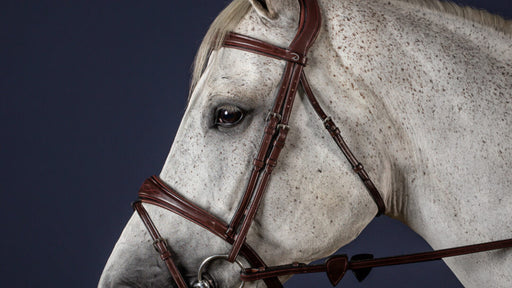 Dy'on Cheekpeices New English Collection - Vision Saddlery