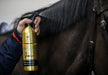 Carr & Day & Martin LIMITED EDITION Mane and Tail - 500ml - Vision Saddlery