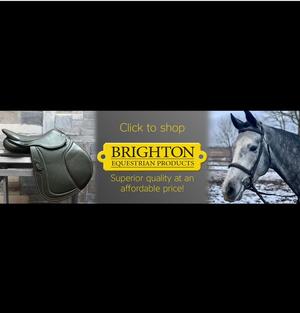 Brighton — Vision Saddlery