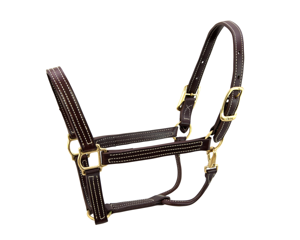 Halters