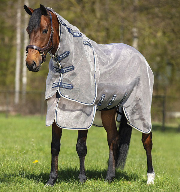 Horseware Ireland Rambo Protector Plus Fly Sheet on a horse, lightweight breathable fly sheet with adjustable straps and durable fabric.
