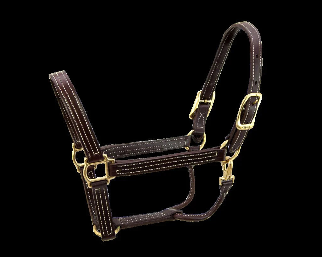 Halters & Leads — Vision Saddlery