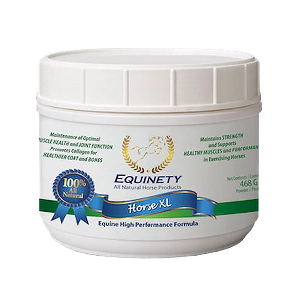 equine immune supplements 