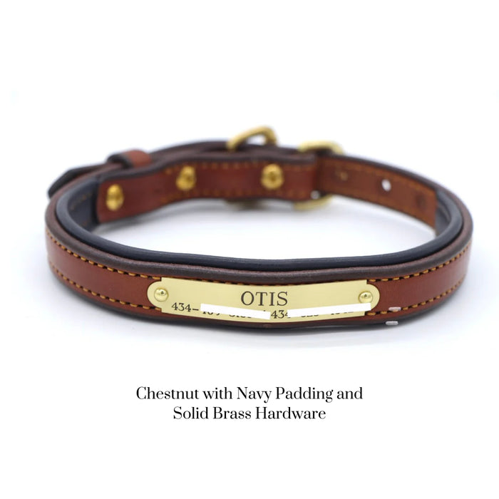 Custom Engraved Padded Leather Dog Collar