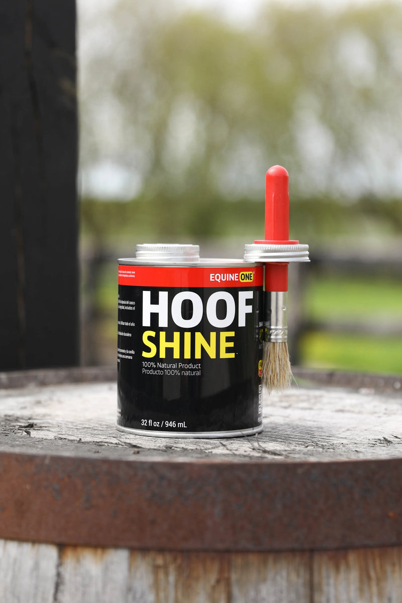 Equine One Hoof Shine - 32oz - Vision Saddlery