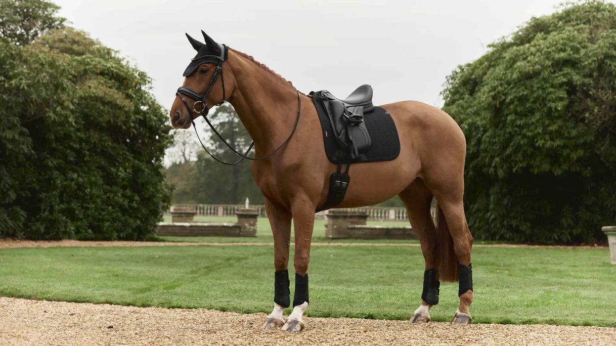 LeMieux Essence Dressage Saddle Pad- Black - Vision Saddlery