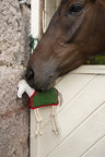 Horseware Stall Toy