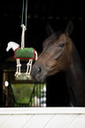 Horseware Stall Toy