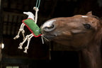 Horseware Stall Toy