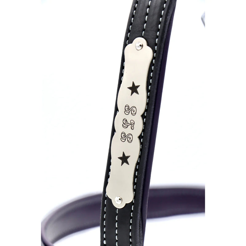 Fancy Halter Plate #330 and #332 - Vision Saddlery