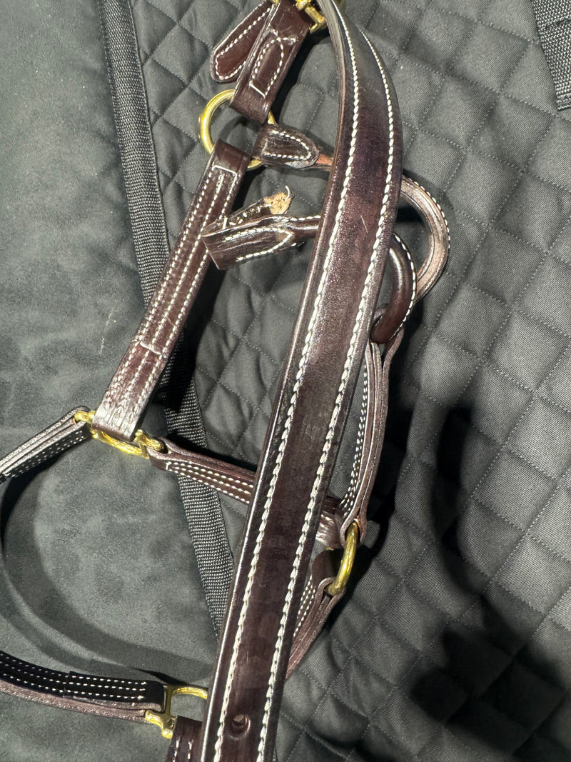 Licol britannique Walsh