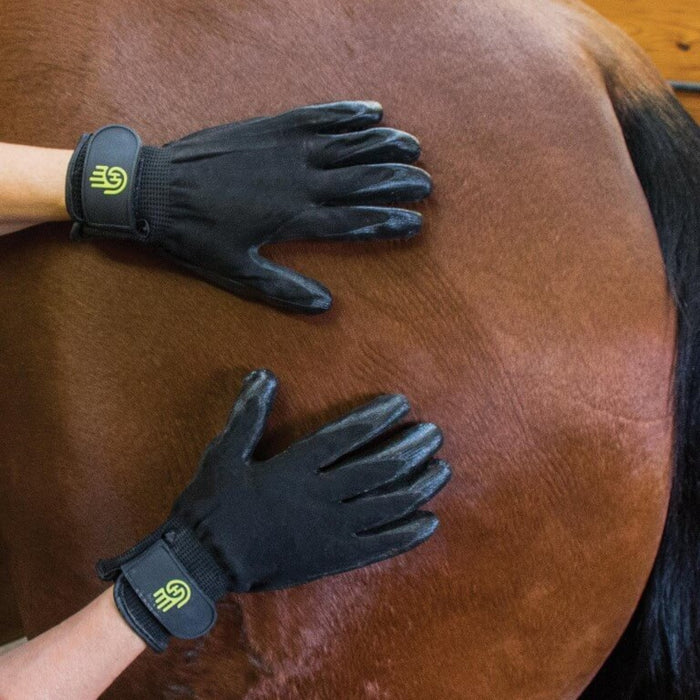 Hands On Grooming Gloves - Vision Saddlery