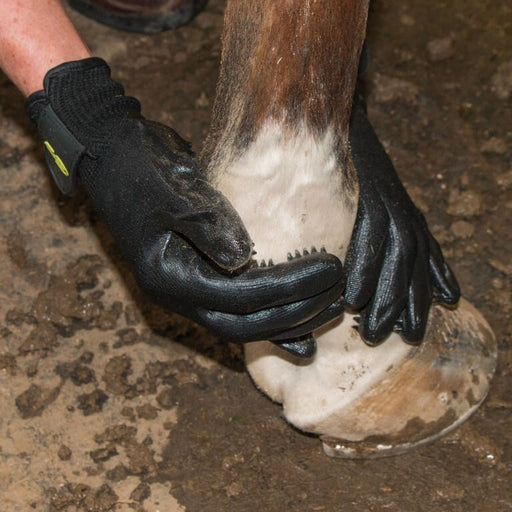 Hands On Grooming Gloves - Vision Saddlery