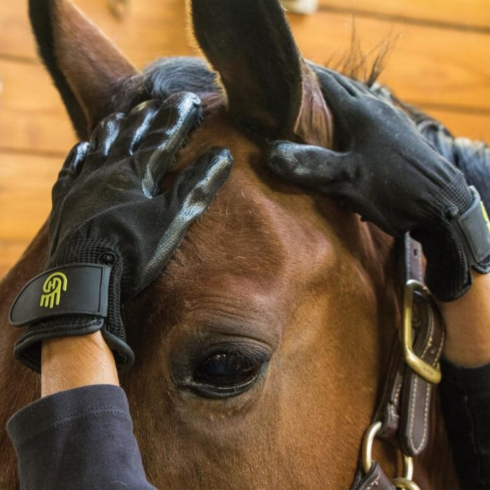 Hands On Grooming Gloves - Vision Saddlery