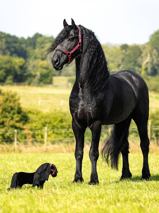 Lemieux Toy Pony  - SPIKE