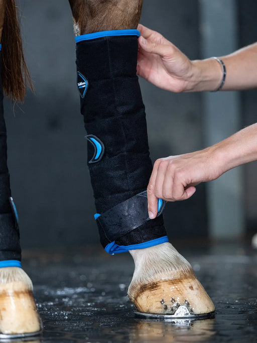 LeMieux Flow Ice Boot Hind Black - Vision Saddlery