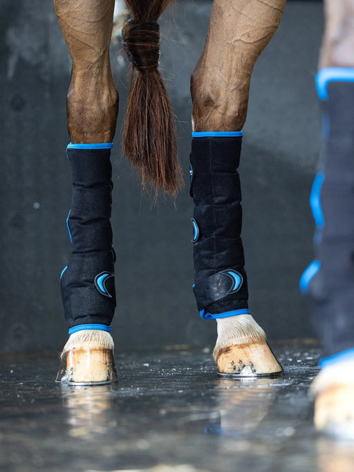 LeMieux Flow Ice Boot Hind Black - Vision Saddlery