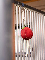 Lemieux Horse Toy - APPLE - Vision Saddlery