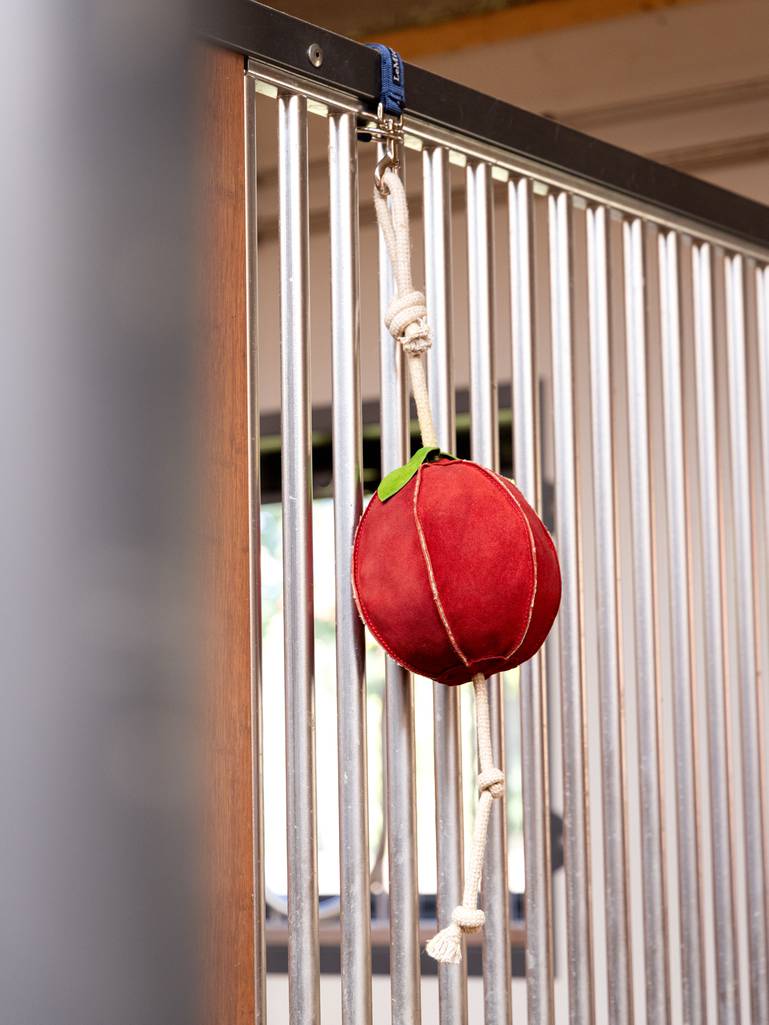 Lemieux Horse Toy - APPLE - Vision Saddlery