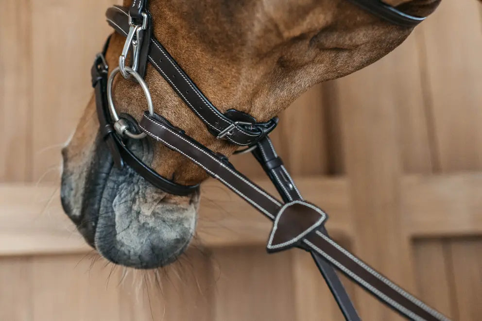Dy'on Working Collection Flash Noseband Bridle with Snap Cheekpieces - Vision Saddlery