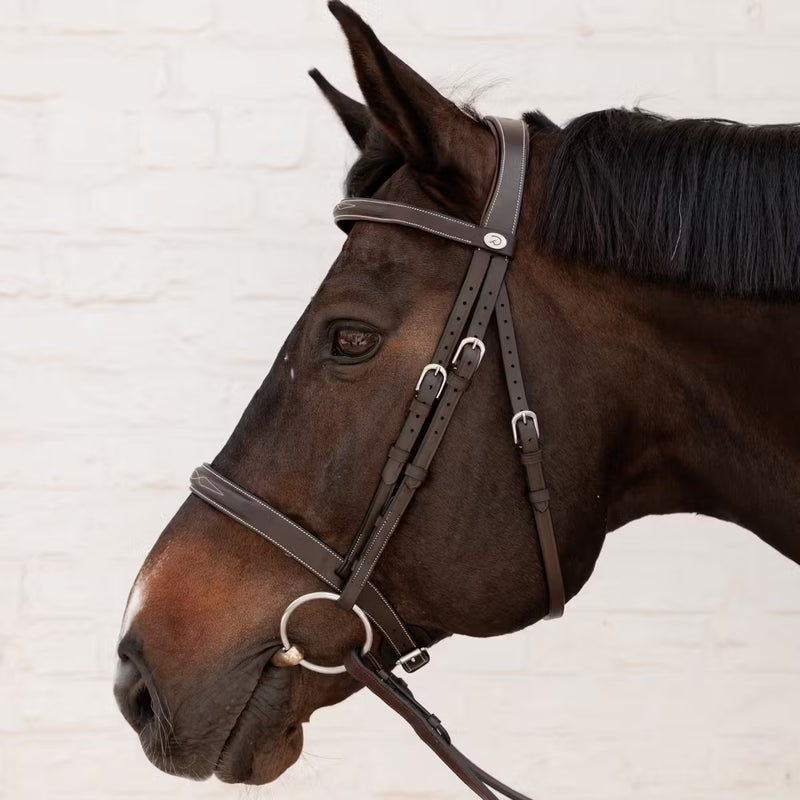 Dy'on Working Collection Cavesson Hunter Bridle Brown