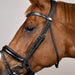 Dy'on Working Collection Large Crank Flash Noseband Bridle - 3 Colours - Vision Saddlery