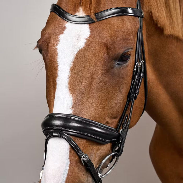 Dy'on Working Collection Large Crank Flash Noseband Bridle - 3 Colours - Vision Saddlery
