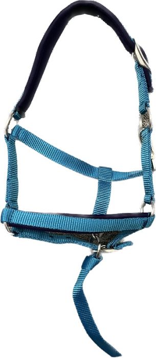 Foal/Weanling Nylon Halter with Grab Strap - 2 Colours - Vision Saddlery