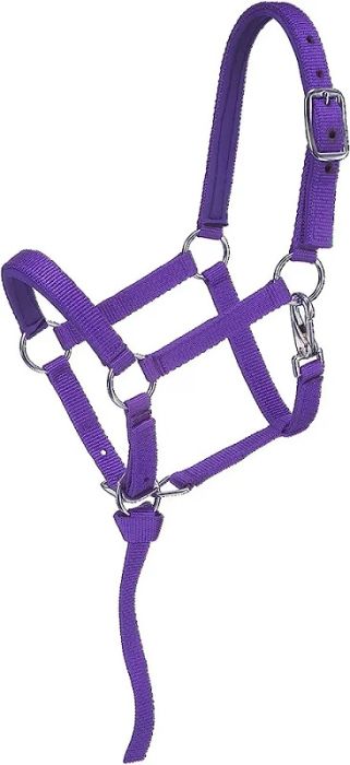 Foal/Weanling Nylon Halter with Grab Strap - 2 Colours - Vision Saddlery