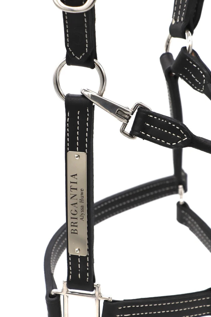 Halter or Lead Plate, Plate #320 and #322 - Vision Saddlery