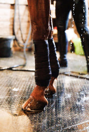 Anatomeq Soft Support Polos - Set of 2 - Vision Saddlery