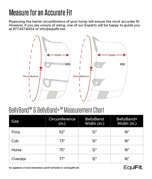 EquiFit Belly Band PLUS - Vision Saddlery