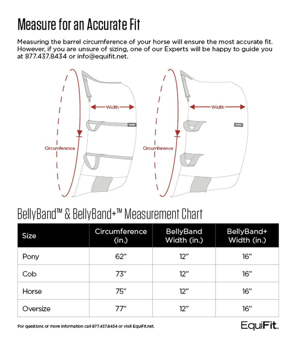 EquiFit Belly Band PLUS - Vision Saddlery