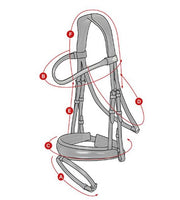 Lemieux Kudos Patent Dressage Bridle - BLACK - Vision Saddlery