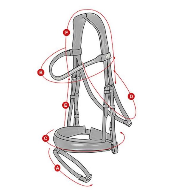Lemieux Kudos Patent Dressage Bridle - BLACK - Vision Saddlery