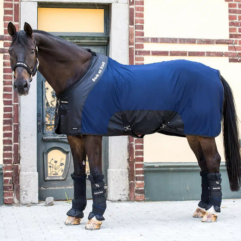 Back on Track DELUXE Royal Mesh Rug Deluxe Navy - Vision Saddlery