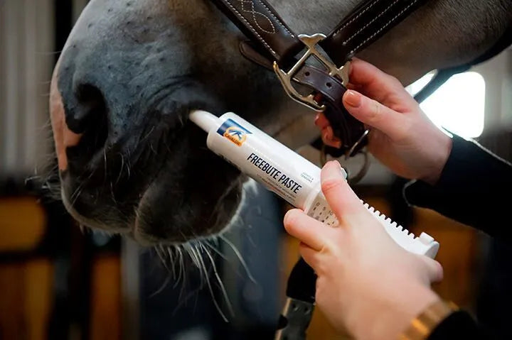 Cavalor FREE BUTE Paste / 60cc