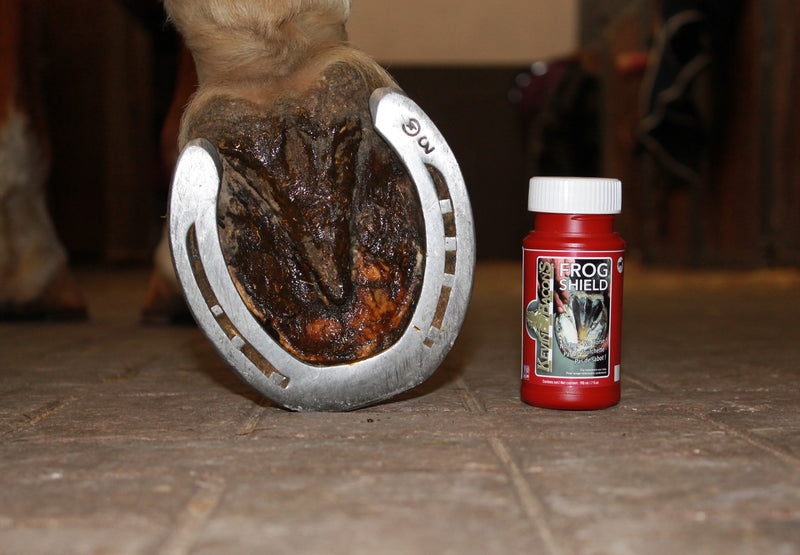 Kevin Bacon's Frog Shield - 7oz - Vision Saddlery