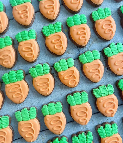 Horsin' Around Treats- Mini Carrots - Vision Saddlery