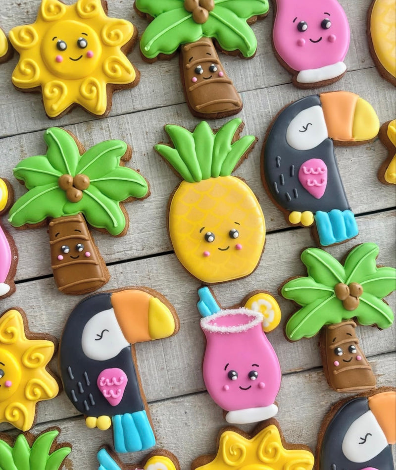 Horsin' Around Treats- Tropical Set - Vision Saddlery