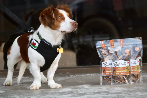 Barnies Dehydrated Dog Treats - Beef 100g - Vision Saddlery