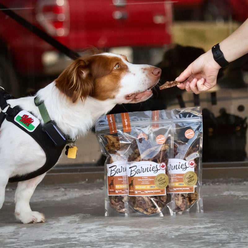 Barnies Dehydrated Dog Treats - Beef 100g - Vision Saddlery