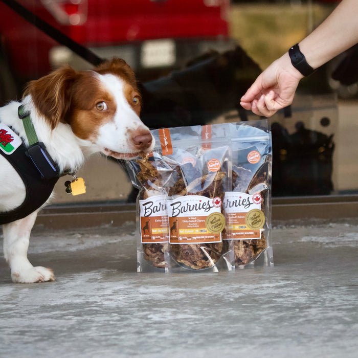 Barnies Dehydrated Dog Treats - Beef 100g - Vision Saddlery