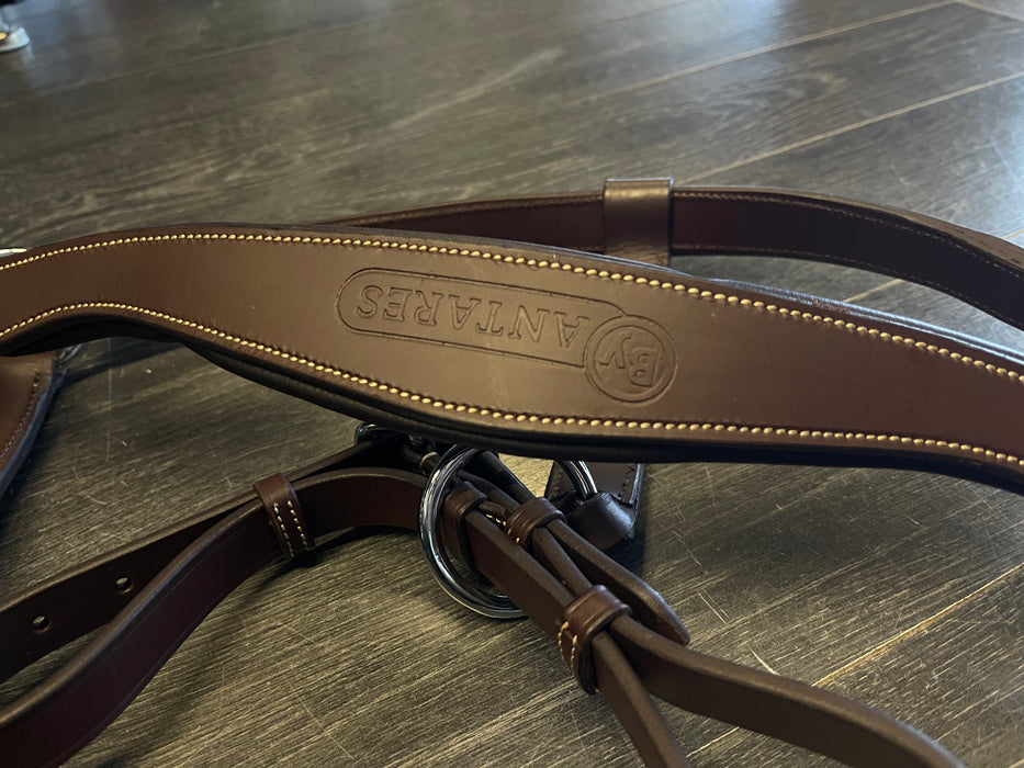 Signature by Antares Single Strap Stirrup Leathers - Various Sizes/Col —  Vision Saddlery