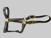 *CLEARANCE* Walsh British Halter Cob Size - Vision Saddlery