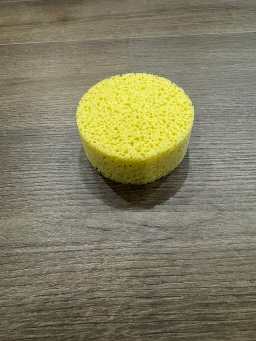 Antares Tack Cleaning Sponge - Vision Saddlery
